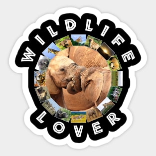 Wildlife Lover Elephant Tug Of War Sticker